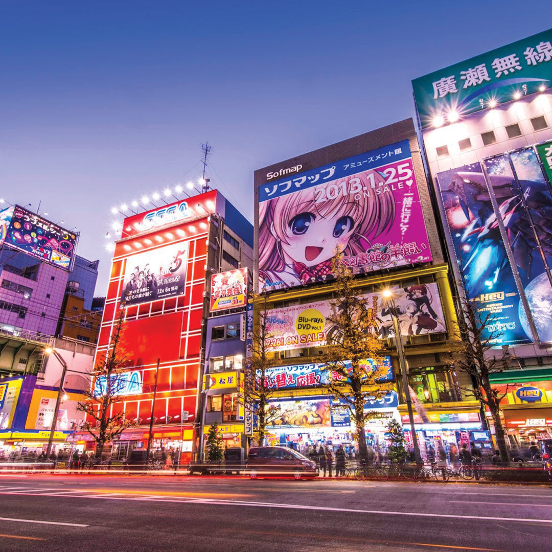Colorful anime and electronics signs above a busy Tokyo street