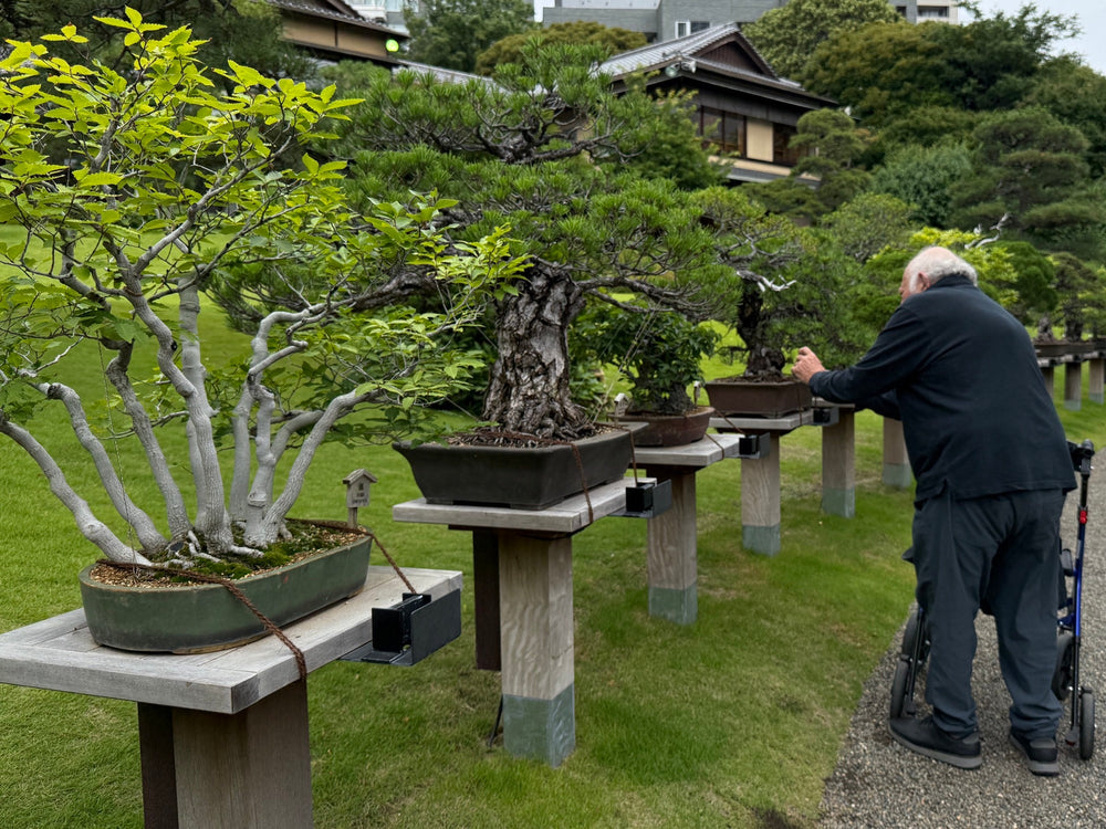 Guest using a walker while viewing bonsai in a Japanese garden