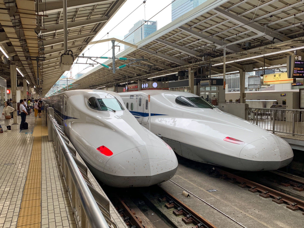 Two Shinkansen trains at Tokyo Station during a multi-city family journey