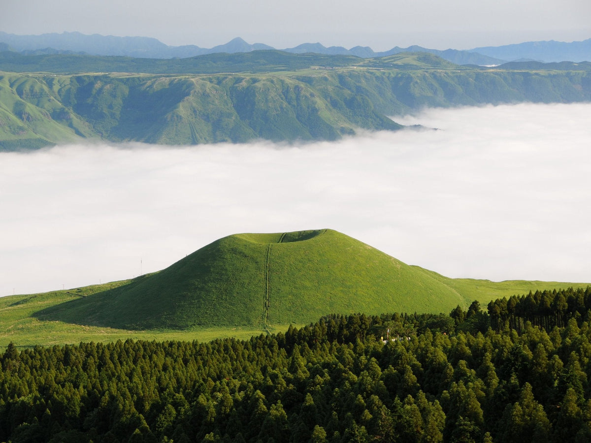 Green Aso grasslands rising above a sea of clouds