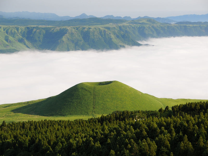 Green Aso grasslands rising above a sea of clouds
