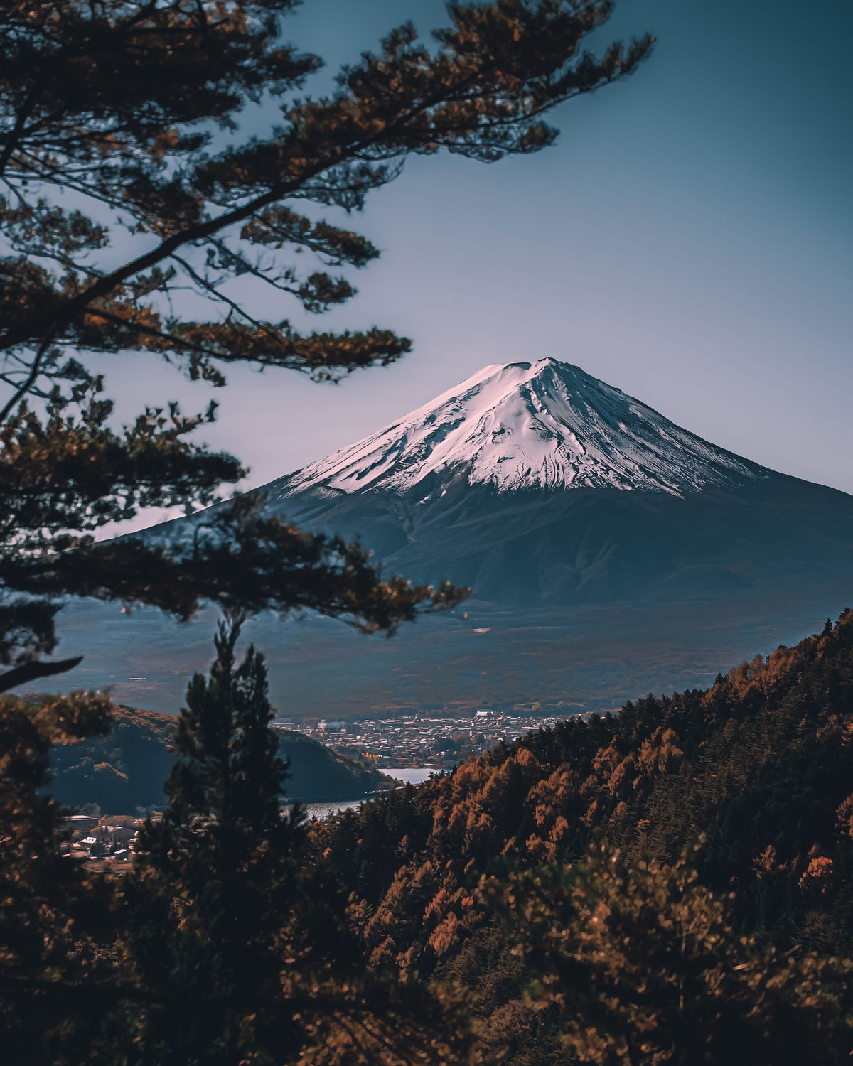 Mount Fuji with snow on its upper slopes, framed by pine branches above a valley town.