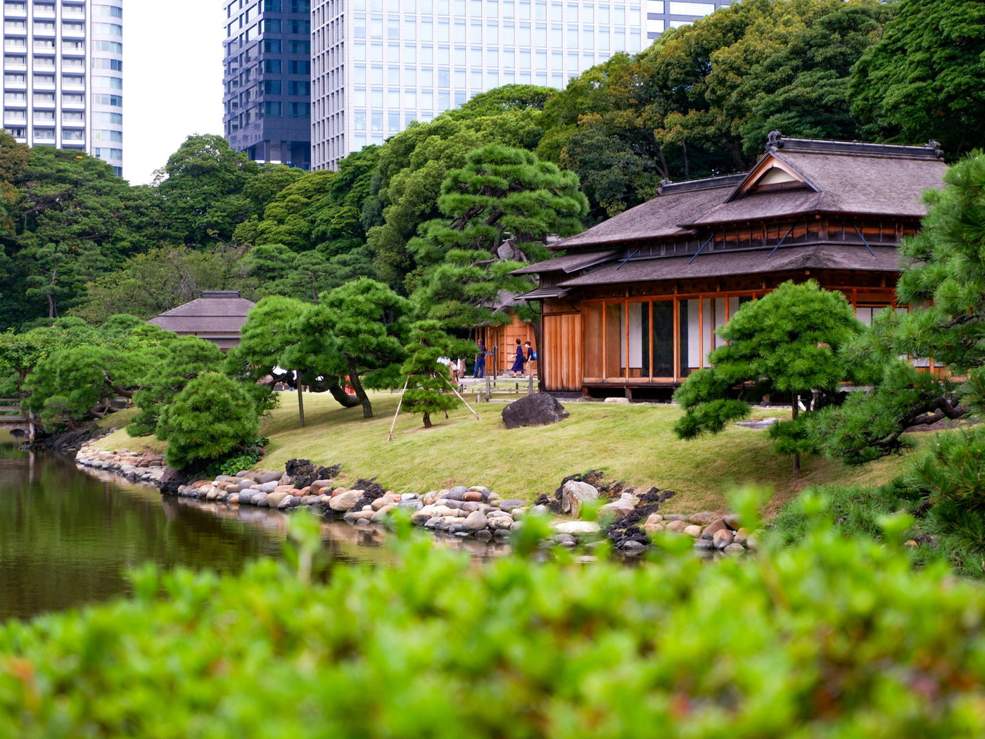 Traditional garden residence beside a pond with modern Tokyo buildings beyond