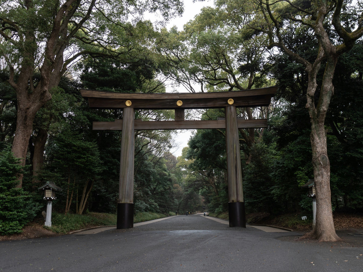 Wooden torii gate at the entrance to a forested shrine approach in Tokyo
