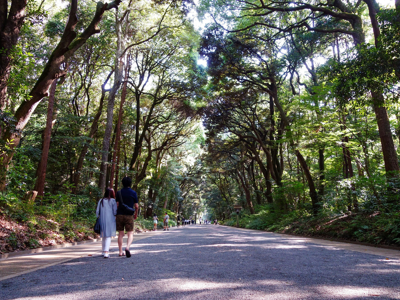 Couple walking beneath the trees on a broad shrine approach in Tokyo