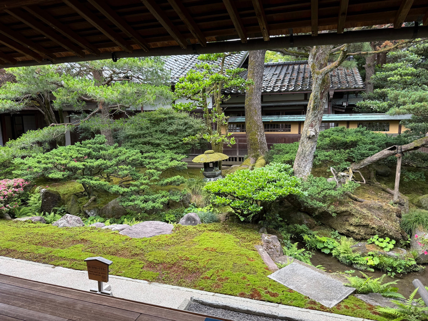 Moss garden with sculpted pines and a traditional wooden residence