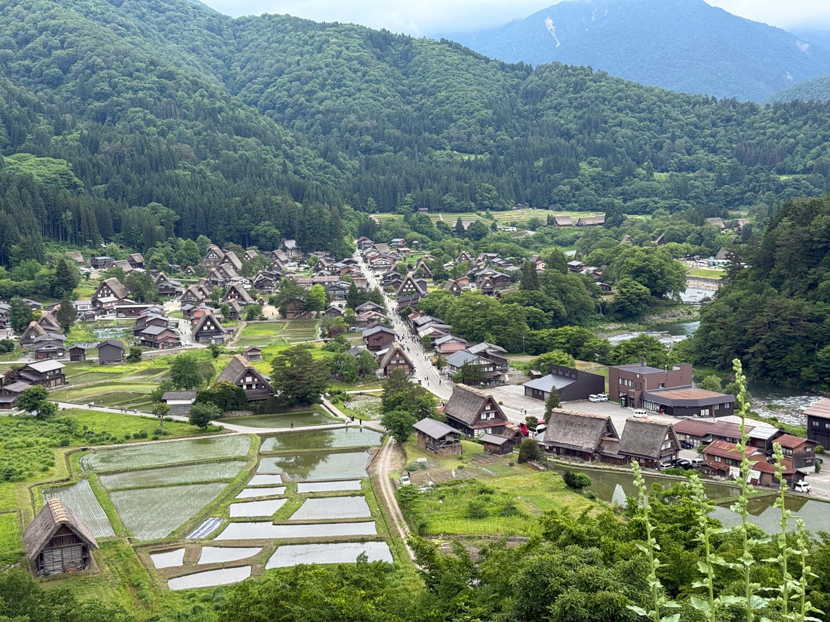 Mountain village and rice fields viewed from above in early summer