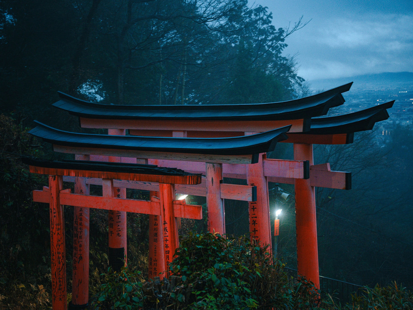 Torii gates on a misty hillside at blue hour in Kyoto