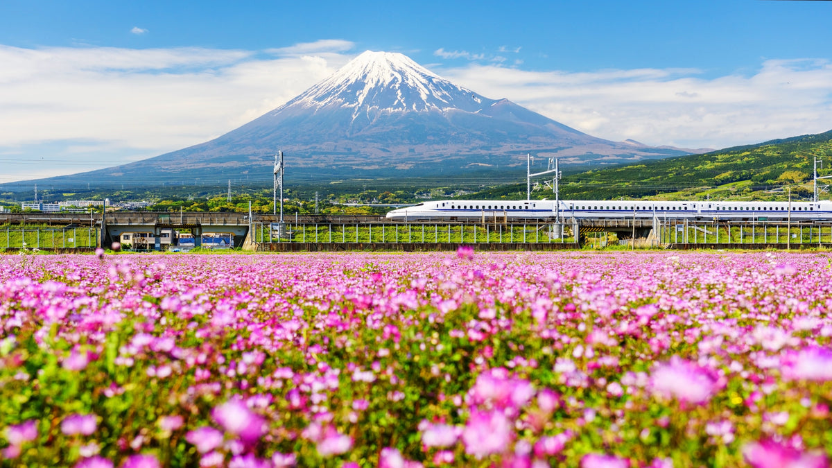 A shinkansen train crossing open country with Mount Fuji behind it.
