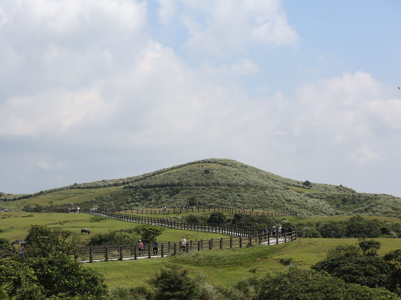 Walking trail across open grassland hills