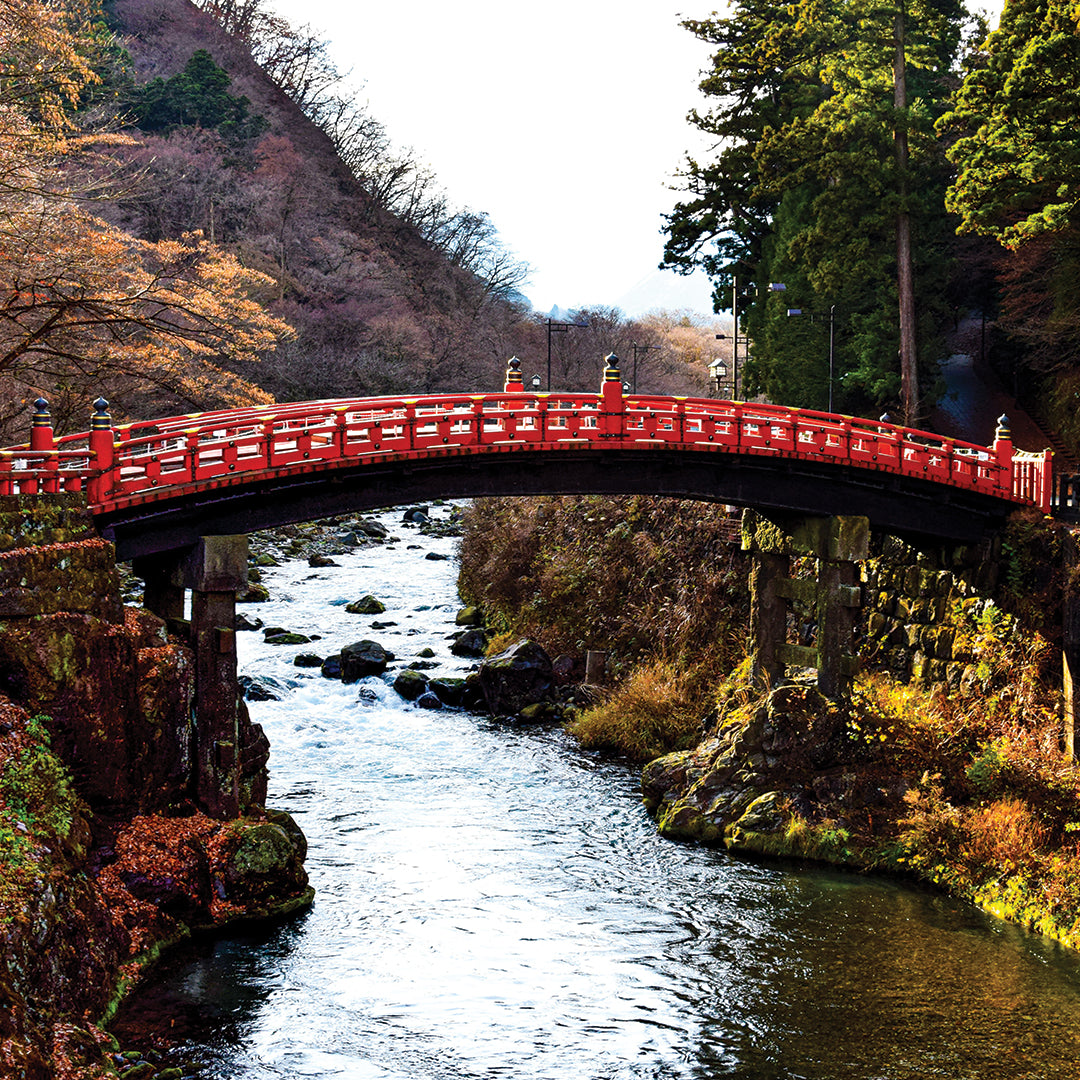 Tokyo to Nikko Day Trip