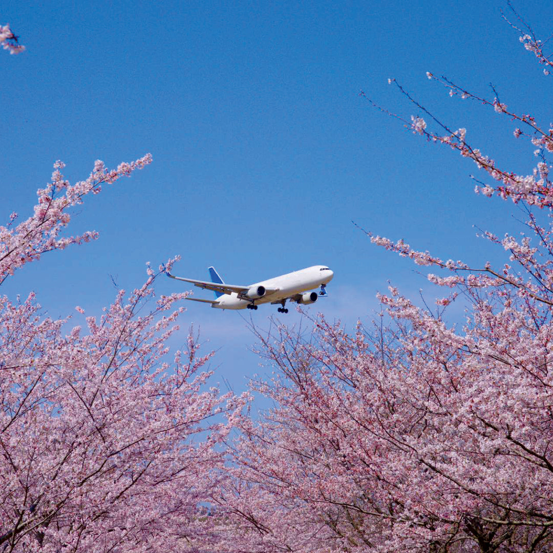 Narita Layover Tour